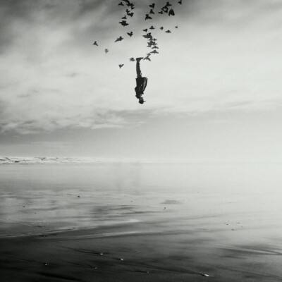 365体育手机版入口